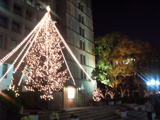 大阪市役所前のクリスマスツリー